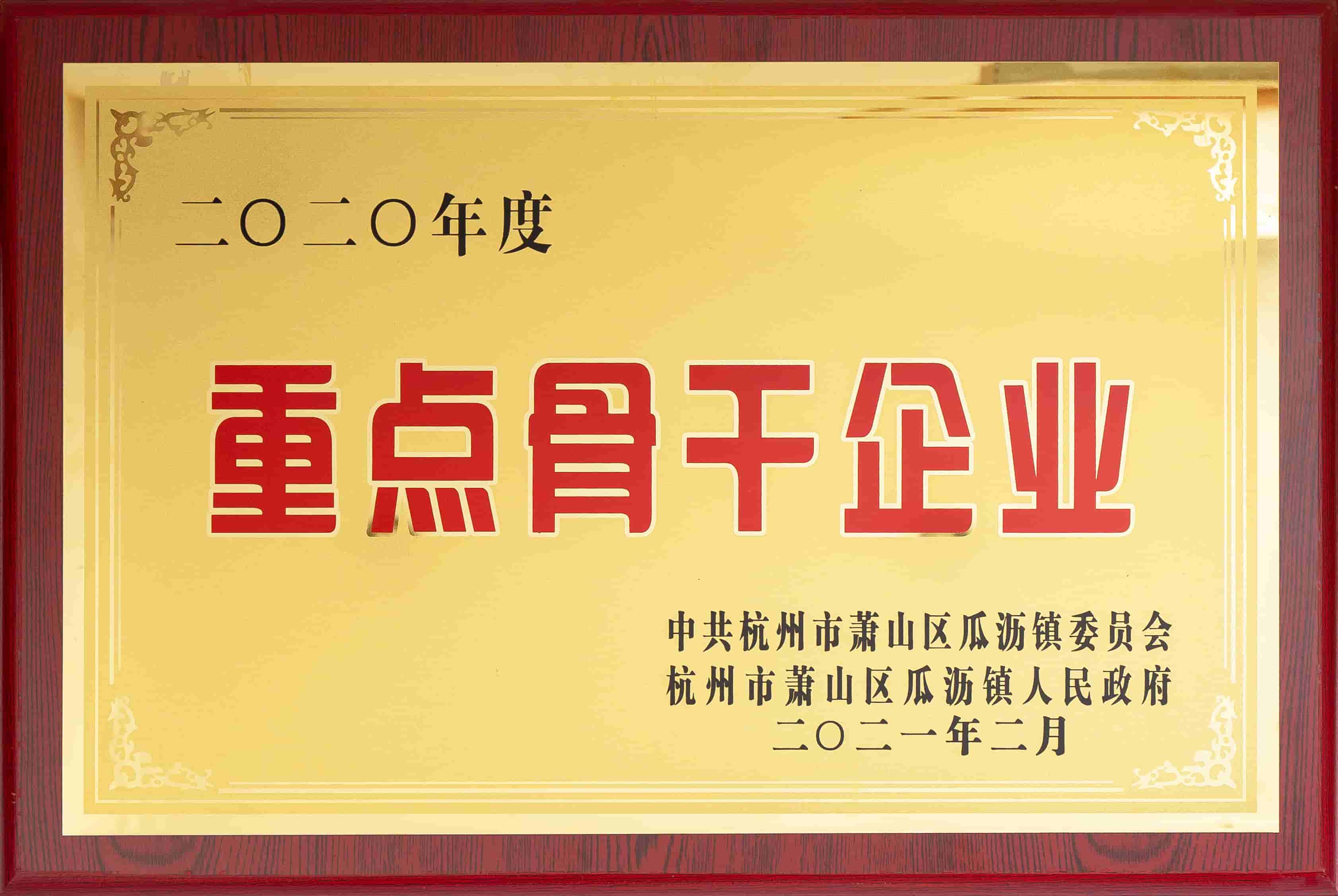 Azienda chiave della spina dorsale